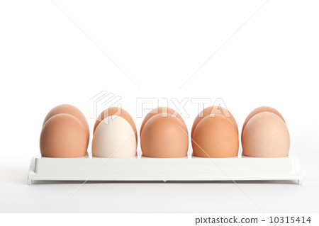 the hen's eggs in egg holder 10315414