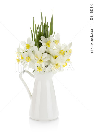 Bouquet of white daffodils in jug 10316018