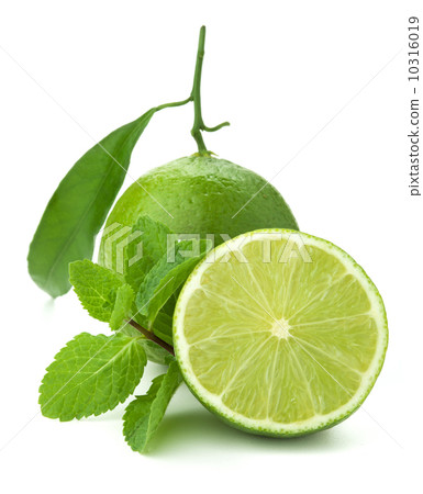 Ripe lime and mint Ripe lime and mint 10316019