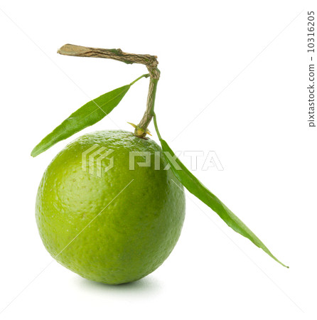 Fresh lime with green leafs Fresh lime with green leafs 10316205