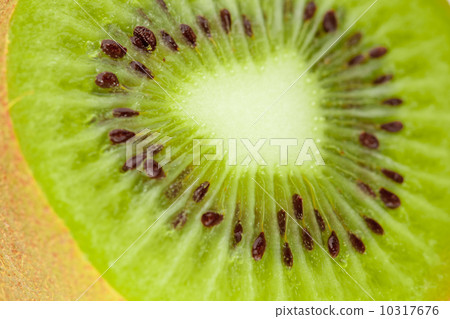 Macro food collection - Kiwi. Macro food collection - Kiwi. 10317676