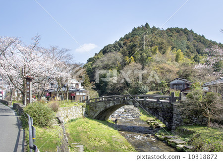 秋月眼橋 10318872