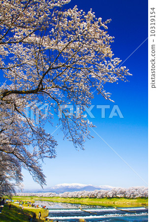 Shiraishi River Ichigo Senbonzakura Shiraishi River Ichigo Senbonzakura 10319154