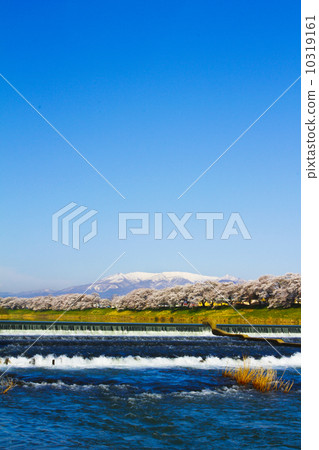 Shiraishi River Ichigo Senbonzakura 10319161