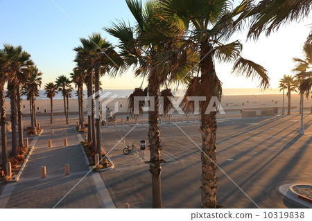 海灘的黃昏 10319838