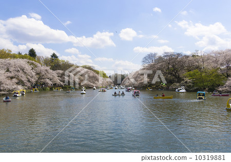 Inokashira Park Inokashira Park 10319881