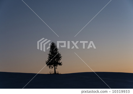 一個人站在山上黃昏 10319933