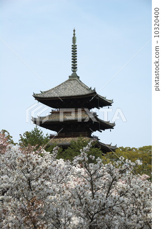 Ninna-ji 5-storied pagoda 10320400