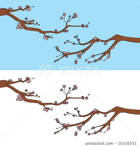 Sakura Blooming Branches Sakura Blooming Branches 10320551