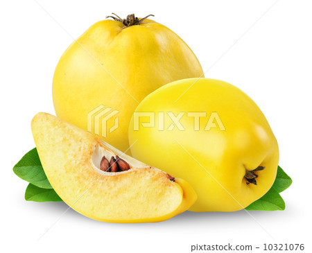 Quince Quince 10321076