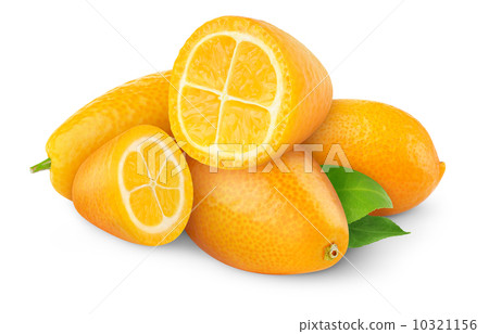 Kumquat Kumquat 10321156