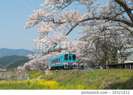 Spring Tarumori Railway 10321812