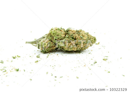 Marijuana Marijuana 10322329