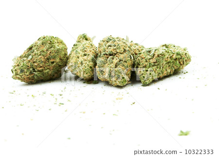 Marijuana Marijuana 10322333