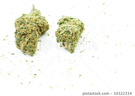 Marijuana Marijuana 10322334