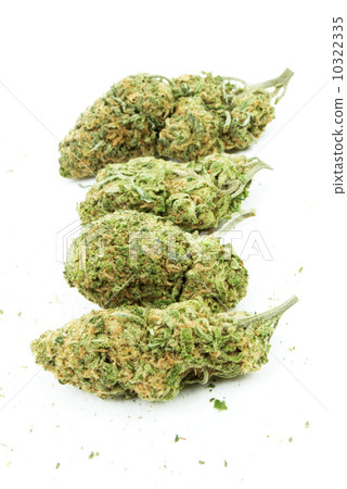 Marijuana Marijuana 10322335