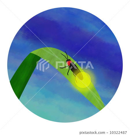 fire Fly fire Fly 10322487