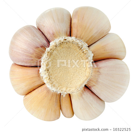 Garlic 10322525