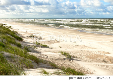 Sand beach on Baltic sea 10323003