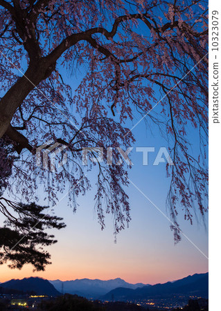 Dusk twilight 10323079