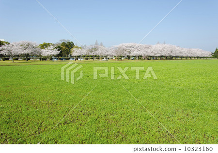 麒麟公園福岡草坪公園 麒麟公園福岡草坪公園 10323160