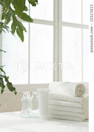 Beauty · Esthetics 10323815