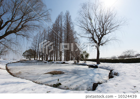 Winter scenery 10324439