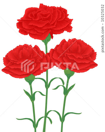 康乃馨三重 10325032