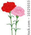 康乃馨雙 10325033