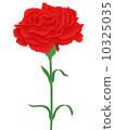 紅色康乃馨 10325035