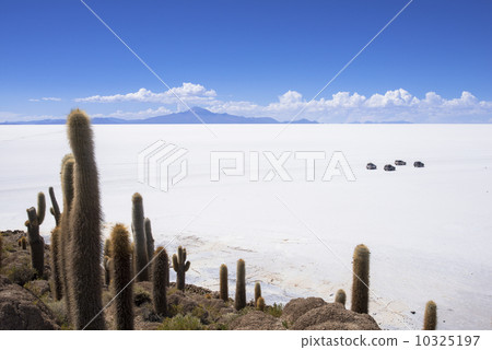 烏尤尼鹽湖印加鷹島 烏尤尼鹽湖印加鷹島 10325197