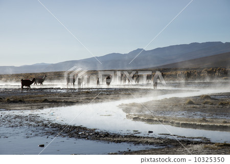 Aquas · Thermae Hot Spring of Altiplano Plain Aquas · Thermae Hot Spring of Altiplano Plain 10325350