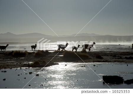 Aquas · Thermae Hot Spring of Altiplano Plain 10325353