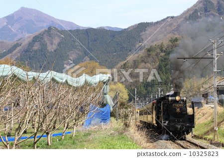 秩父鐵道“春季奧秩父運行的SL古特快” 10325823