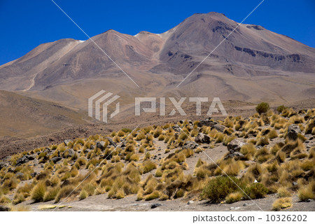 Altiplano Plain, Bolivia Altiplano Plain, Bolivia 10326202