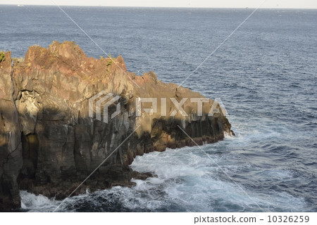 Shi崎海岸 10326259