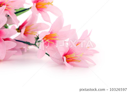 Close up of pink flowers. Close up of pink flowers. 10326597