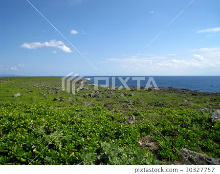 Hateruma島 Hateruma島 10327757