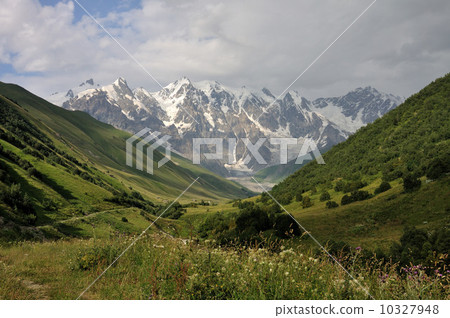 Adishi glacier with meadow Adishi glacier with meadow 10327948