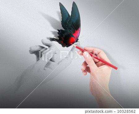 Inspiration concept with beautiful butterfly Inspiration concept with beautiful butterfly 10328562