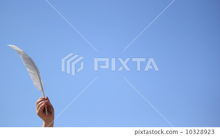 Heather 10328923