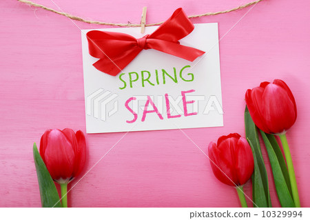 鬱金香和春季促銷 鬱金香和春季促銷 10329994