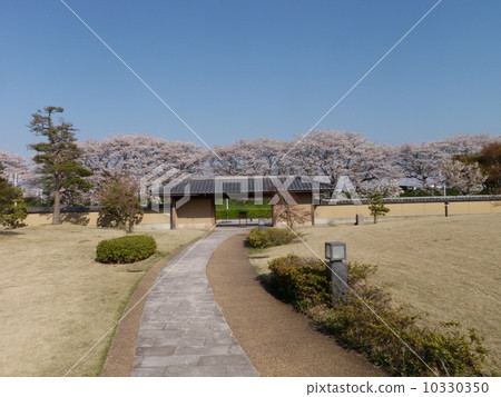 富山縣水墨藝術博物館 10330350