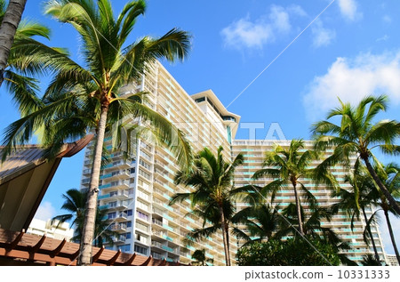 Holidays in Hawaii 10331333