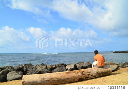 夏威夷的假期 10331336