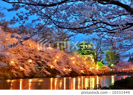 Takada Castle in full bloom Simei Yoshino 10331449