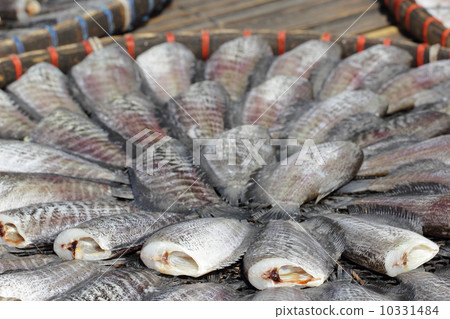 Snakeskin gourami fish drying in the outside 10331484