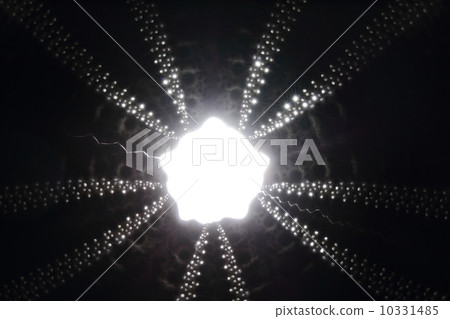 Close up abstract great skeleton of sea shell Close up abstract great skeleton of sea shell 10331485