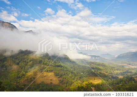 Mountains in Sri Lanka 10331621