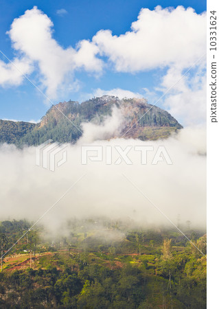 Mountains in Sri Lanka 10331624